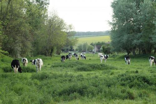 Fertile fields of the Valley